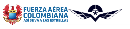 Fuerza Aérea